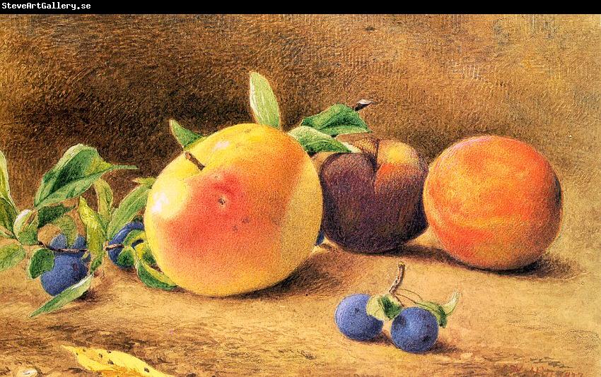 Hill, John William Study of Fruit